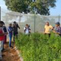 Media coverage over fruitful sites of Agriculture Productivity Enhancement Program (APEP)