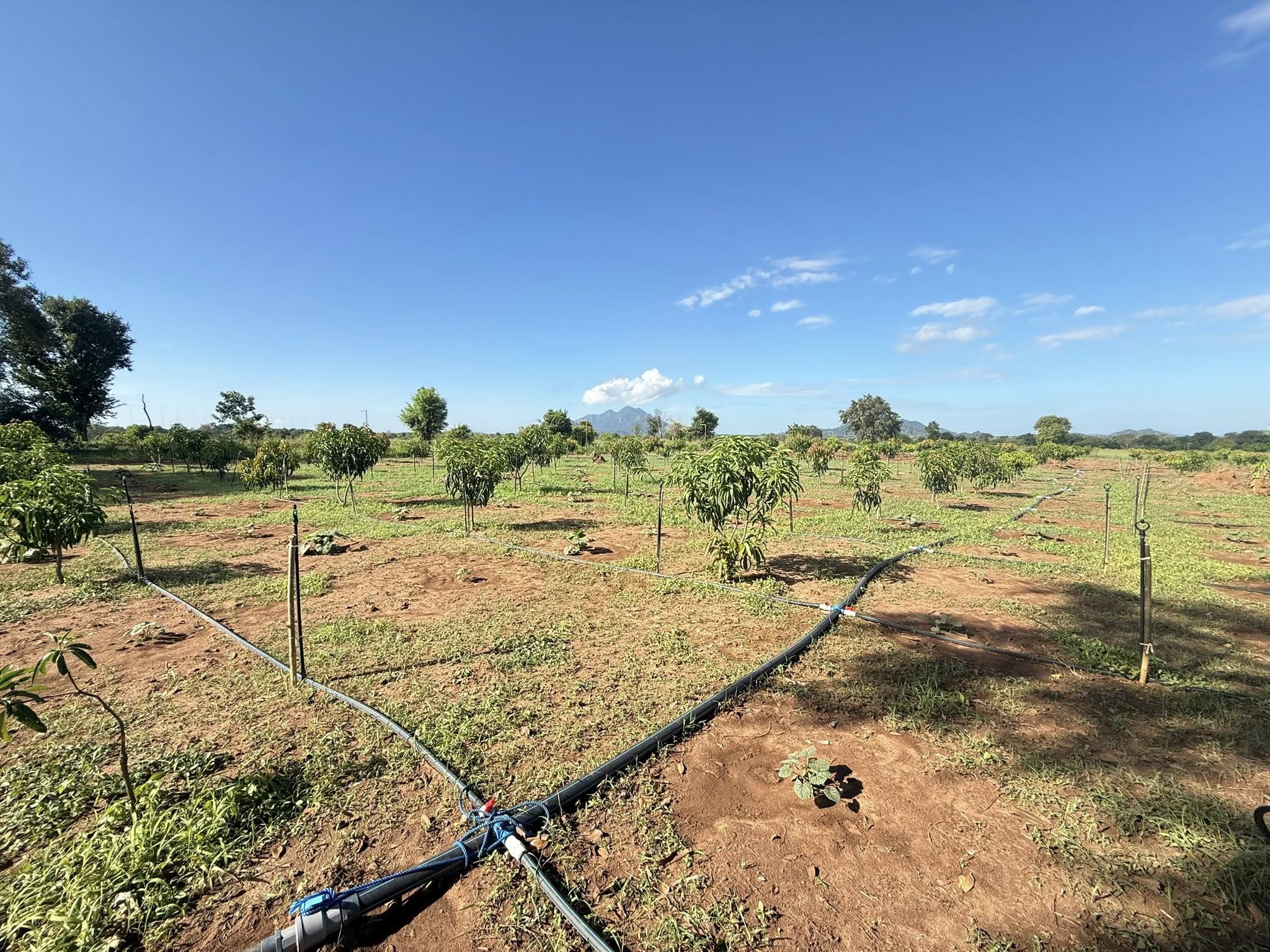 Re-awakening sessions for CAD